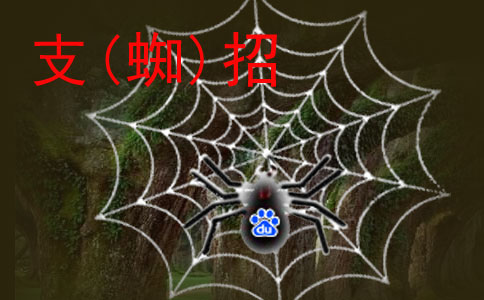 如何降低企业做网站的优化成本?