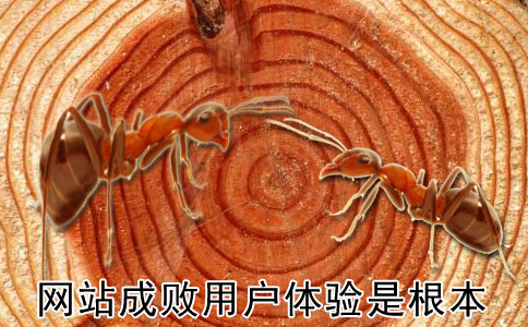 网站制作成与败用户体验是根本