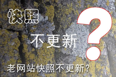 哪些因素造成老网站快照不更新?