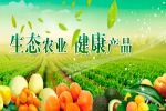 广州市广州增城绿之健蔬菜水果跟本公司签定建网站协议