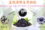 祁连县海东地民和蓝杞源食品特产与我司签约网站制作合约