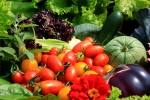 莱芜市青岛梦鲜蔬菜水果跟本公司签定网站制作条款