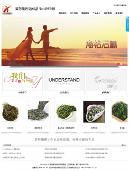 经济型成品案例站No:4989