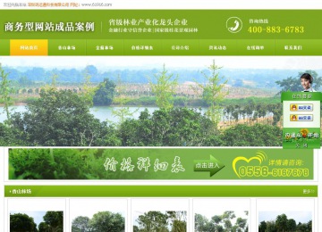 商务型成品案例站No:8326