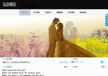 商务型成品案例站No:8553