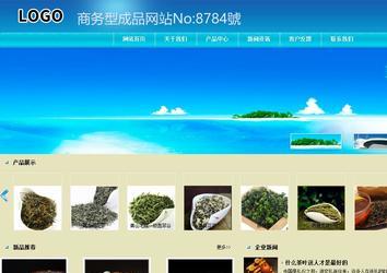 商务型成品案例站No:8784