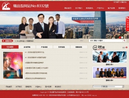 商务型成品案例站No:8832