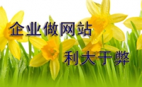 为什么说企业做网站利大于弊做网站-鸿运通网络