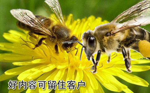 好的网站建设内容可留住客户吗?