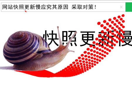 网站快照更新慢应究其原因 采取对策!