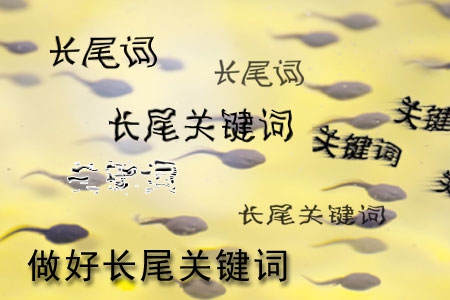 做网站怎样做好长尾关键词设置?