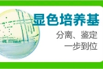 福田区深圳福田优康医疗器械跟我司签下网站设计合作协定