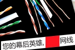 深圳宝安思锐科光纤电线与本司签约网站建设条款