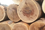 加蓬防腐木业跟我公司签定网站建设条款