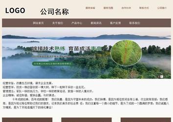 商务型成品案例站No:1500