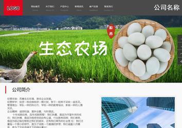 商务型成品案例站No:1501