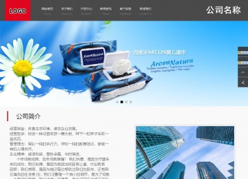 商务型成品案例站No:1501