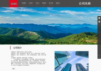 商务型成品案例站No:1501