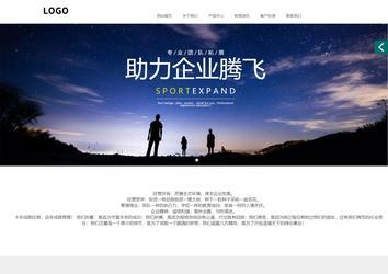 商务型成品案例站No:1502