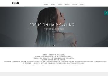 商务型成品案例站No:1502