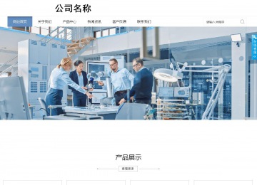 商务型成品案例站No:1503