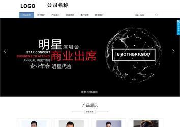 商务型成品案例站No:1503