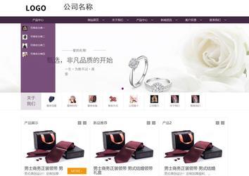 商务型成品案例站No:1508