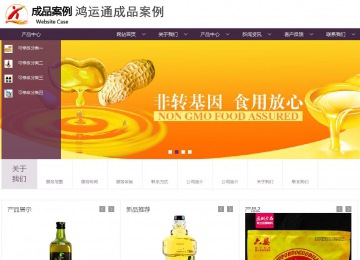 商务型成品案例站No:1508