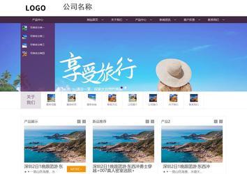 商务型成品案例站No:1508