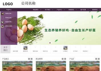 商务型成品案例站No:1508