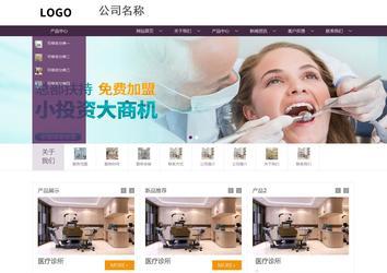 商务型成品案例站No:1508