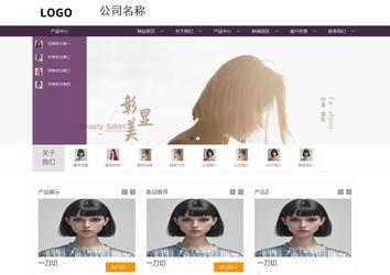 商务型成品案例站No:1508