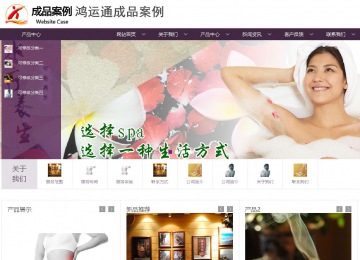 商务型成品案例站No:1508