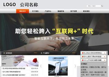 商务型成品案例站No:4887