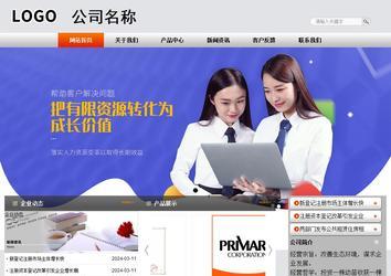 商务型成品案例站No:4887