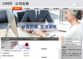 商务型成品案例站No:4887