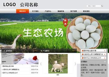 商务型成品案例站No:4887