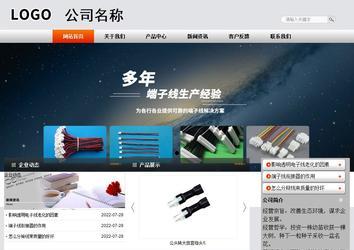 商务型成品案例站No:4887