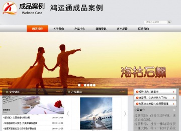 商务型成品案例站No:4887