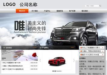 商务型成品案例站No:4887