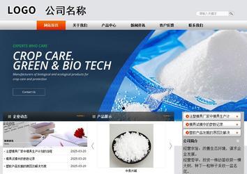 商务型成品案例站No:4887