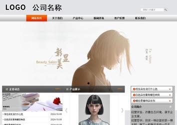 商务型成品案例站No:4887