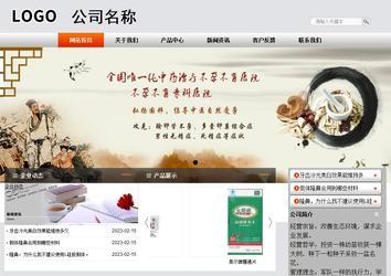 商务型成品案例站No:4887