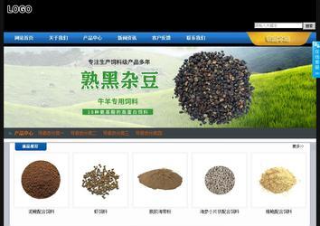 经济型成品案例站No:4903