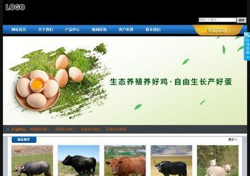 经济型成品案例站No:4903