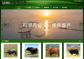 经济型成品案例站No:4933