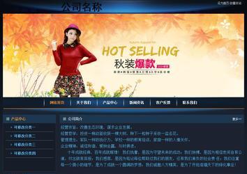 经济型成品案例站No:4946