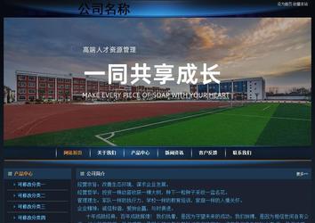 经济型成品案例站No:4946