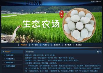 经济型成品案例站No:4946