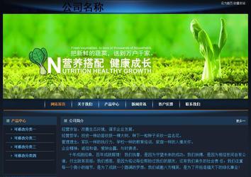 经济型成品案例站No:4946